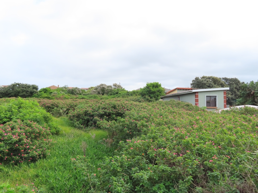 0 Bedroom Property for Sale in Forest Downs Eastern Cape